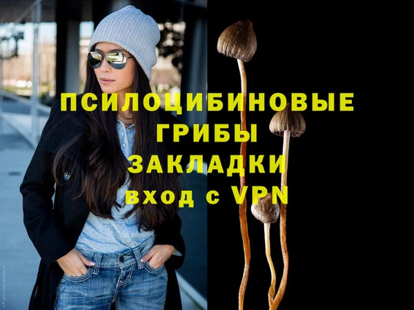 спиды Бронницы