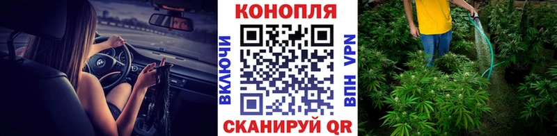 Бошки марихуана THC 21%  Приволжский 